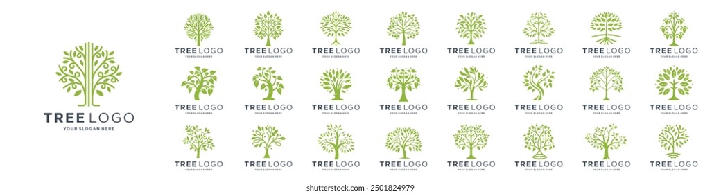 Conjunto de las mejores colecciones de Vector del icono del logotipo del árbol, símbolo perfecto para los logotipos de la empresa o diseño de marca.