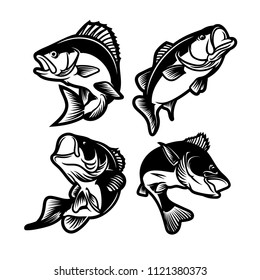 set of big bass fish illustration for fishing logo