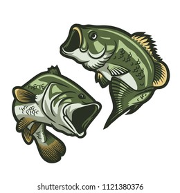 set of big bass fish illustration for fishing logo