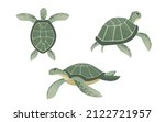 Set big green sea turtle cartoon cute animal design ocean tortoise swimming in water flat vector illustration isolated on white background