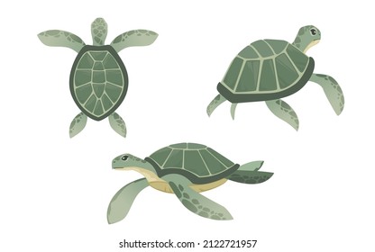 Set big green sea turtle cartoon cute animal design ocean tortoise swimming in water flat vector illustration isolated on white background