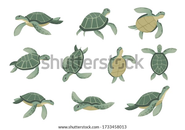 Set of big green sea turtle cartoon cute\
animal design ocean tortoise swimming in water flat vector\
illustration isolated on white\
background