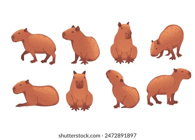 Set of Big mammal cute capybara cartoon animal design vector illustration isolated on white background