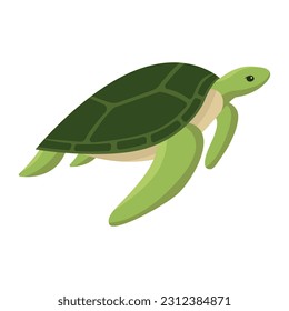 Set of big sea turtle cartoon cute animal design ocean tortoise swimming in water. Flat hand drawn sketch vector illustration isolated on white background
