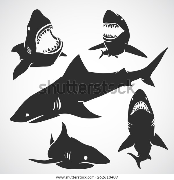 大きなサメの黒いシルエット ベクターイラスト のベクター画像素材 ロイヤリティフリー