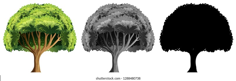 Set of big tree design illustration