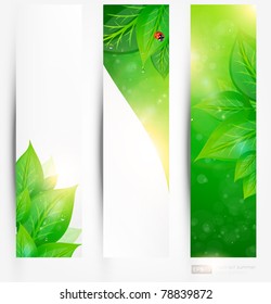 Set of bio concept design eco friendly banners for summer design