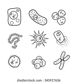 Set of biology cells, bacteria and virus black icons