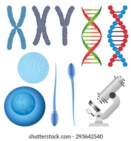 Set of biology objects. Chromosome and DNA, egg and sperm, microscope.