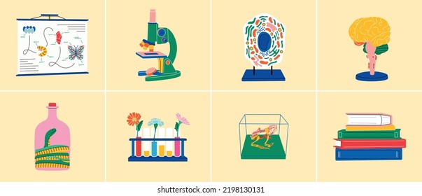 Set of biology objects, flat line style. Microscope, cell, snake, books, brain, flowers, poster, test tubes, toad skeleton. Biotechnology, science, equipment, lab, research, school, trend, abstract.