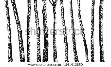 Similar – Image, Stock Photo Birch trunks forest