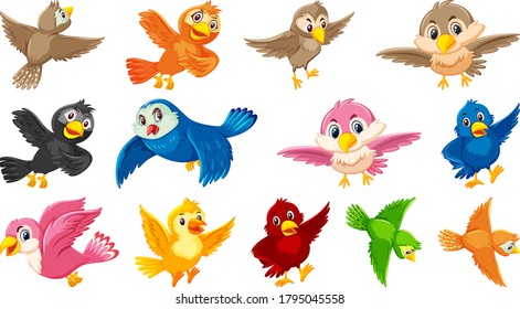 Set of bird cartoon character illustration