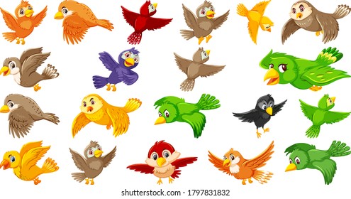 Set of bird cartoon character illustration