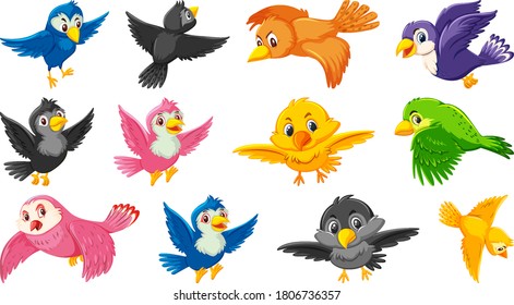 Set Of Bird Cartoon Character Illustration