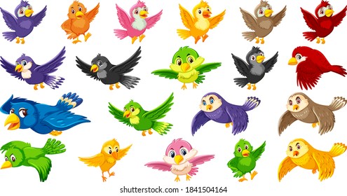 Set of bird cartoon character illustration