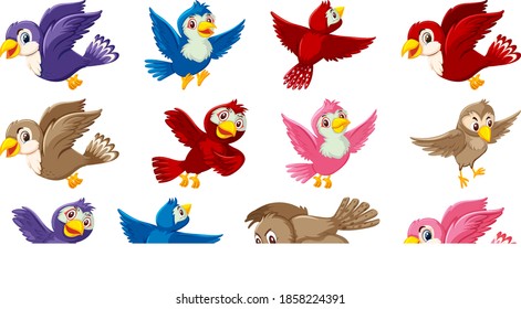Set of bird cartoon character illustration