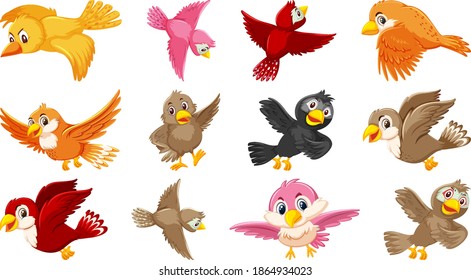 Set of bird cartoon character illustration