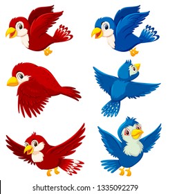 Set of bird character illustration