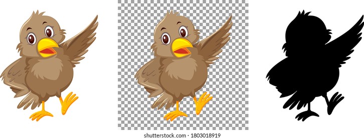 Conjunto de ilustraciones de caracteres de pájaro