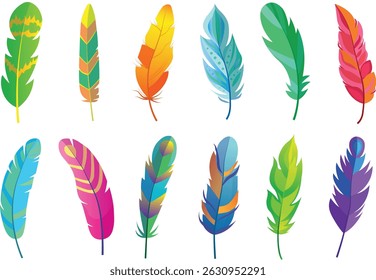 Set of Bird Colored Feathers	