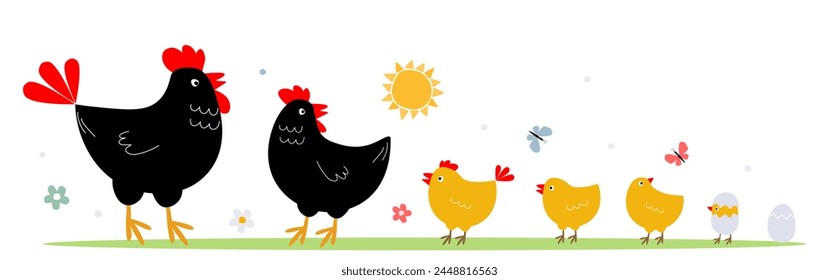 Set of bird family, poultry. Rooster, hen, chicks, eggs together one after another. Vector graphics.