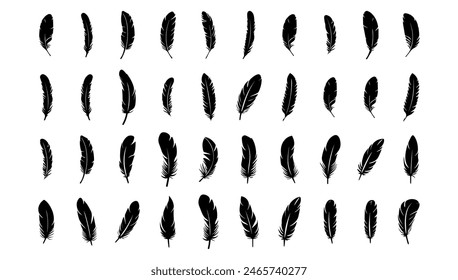 Set of Bird Feather black and white vector illustration. Animal fluffy silhouette wing and isolated white. Collection decoration art icon