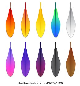 Set of Bird Feather in colorful style, vector