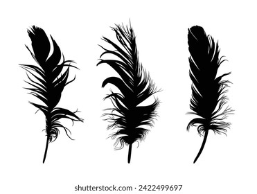 The set of bird feather silhouettes. 
