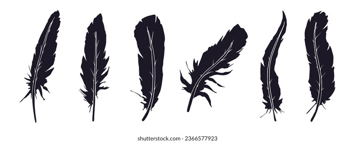 Set of bird feather silhouettes. Vector graphics.	