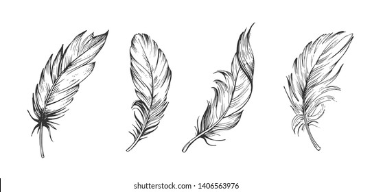 Set of bird feathers. Hand drawn illustration converted to vector. Outline with transparent background