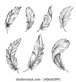 Set of bird feathers. Hand drawn illustration converted to vector. Outline with transparent background