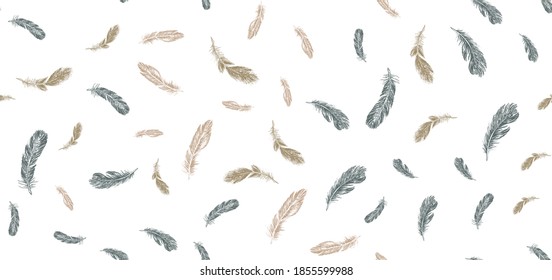 Set of bird feathers. Hand drawn sketch style.	
