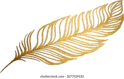 Set of bird feathers. Hand drawn illustration converted to vector. Outline with transparent background.