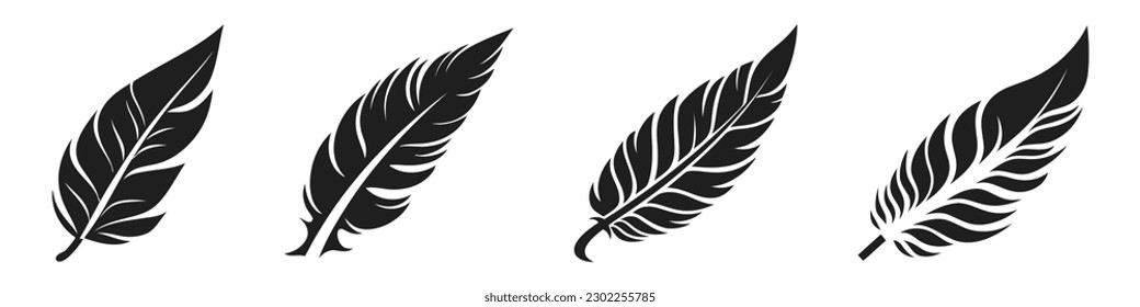 Set of bird feathers. Hand drawn illustration converted to vector. Outline with transparent background.