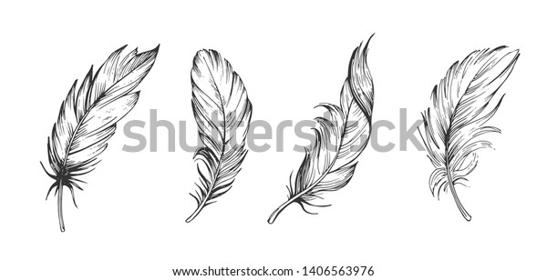 Set Bird Feathers Hand Drawn Illustration Stock Vector Royalty Free