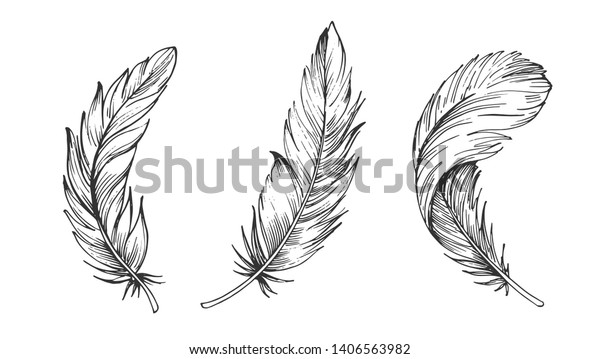 Set Bird Feathers Hand Drawn Illustration Stock Vector Royalty Free