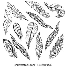 Set of bird feathers isolated on white. Vector. Creative bohemia concept for wedding invitations, cards, tickets, congratulations, branding, logo label, emblem.