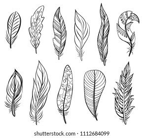 Set of bird feathers isolated on white. Vector. Creative concept for wedding invitations, cards, tickets, congratulations, branding, logo label, emblem.