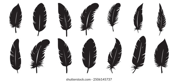 Set of bird feathers isolated on white background. Vintage pen icon. Feathers vector set in flat style. Black feather silhouette.