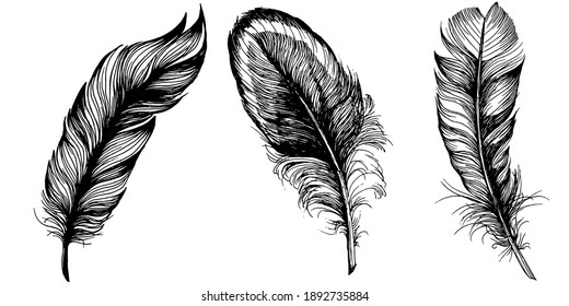 Set of bird feathers isolated with sketch style for your creative design invitation or post cards. 