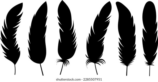 set of bird feathers on white background, vector