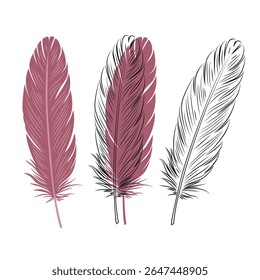 Set of bird feathers. Outline with transparent background, color illustration and combined drawing. Red color. Vector.