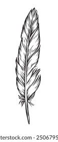 Set of bird feathers in retro vintage hand drawn style. Hand drawn illustration converted to vector. Vector old engraving illustration.