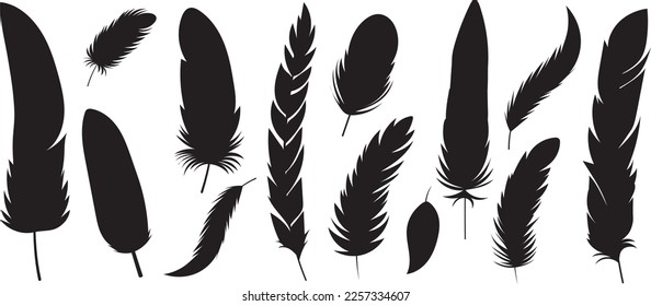 set of bird feathers silhouette ,design isolated, vector