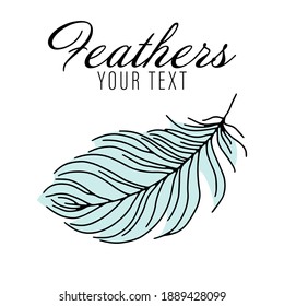 Set of bird feathers. Tribal feathers. Decorative ethnic stylized feather ornamental indian aztec design, colored birds plume curved silhouettes. Abstract background. Vector illustration