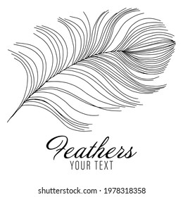 Set of bird feathers. Tribal feathers. Decorative ethnic stylized feather ornamental indian aztec design, colored birds plume curved silhouettes. Abstract background. Vector illustration