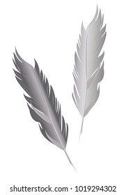 Set of bird feathers. Two vector isolated feather in vintage style.
