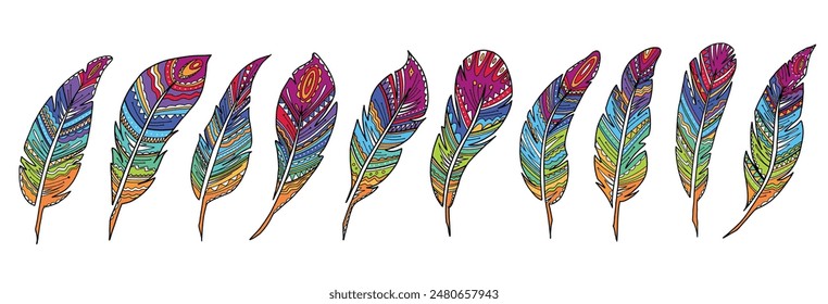 Set of bird feathers. Vector, colorful illustration, hand drawn.   Pen icon. Collection of decorative feathers isolated on white background.