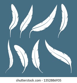 Set of bird feathers vector design illustration