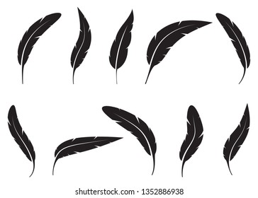 Set of bird feathers vector design illustration